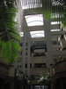 p003.jpg