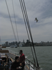 p065.jpg