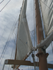 p099.jpg