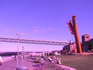 p10.jpg