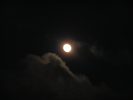 p73.jpg