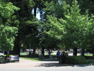 p07.jpg