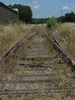 p15.jpg