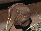 p49.jpg
