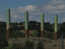 p53.jpg