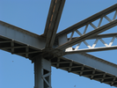 p61.jpg