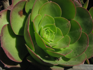 p58.jpg