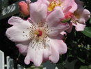 p62.jpg