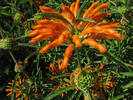 p67.jpg