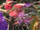 p039.jpg