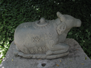 p66.jpg