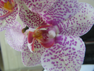 p79.jpg