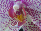 p82.jpg