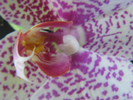 p83.jpg