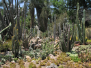 p04.jpg