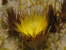 p29.jpg