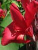 p55.jpg