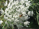 p72.jpg