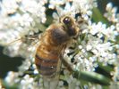 p73.jpg
