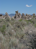p059.jpg