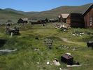 p115.jpg