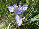 p116.jpg