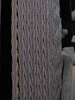 p144.jpg