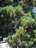 p02.jpg