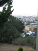 p1.jpg