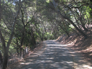 p05.jpg