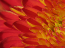 p6.jpg