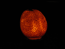 p063.jpg
