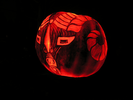 p101.jpg