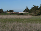 p03.jpg