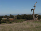 p05.jpg