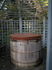 p38.jpg