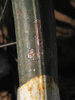 p41.jpg