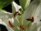 p65.jpg
