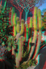a01.jpg