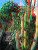 a03.jpg