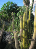 p03r.jpg
