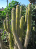 p05r.jpg