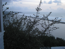 p91.jpg