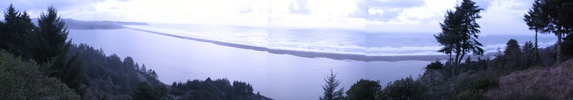 pan4.jpg