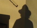 p61.jpg
