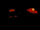 p168.jpg