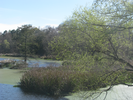 p09.jpg
