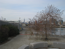 p008.jpg