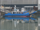 p015.jpg