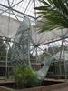 p39.jpg